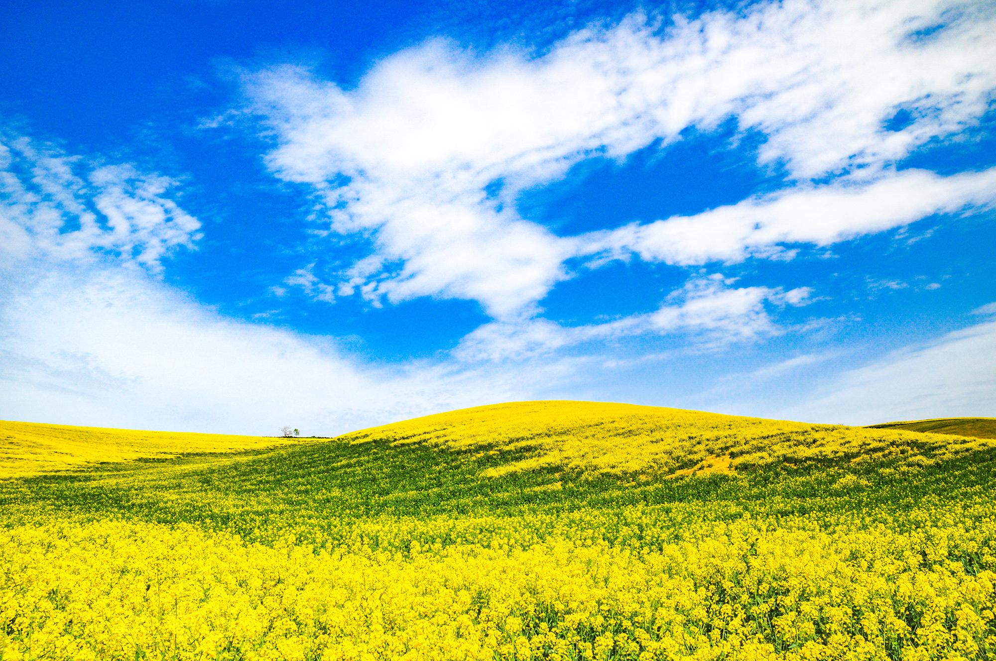 Campus Promotion - Aménageur Lotisseur - Tarn - Midi Pyrénées